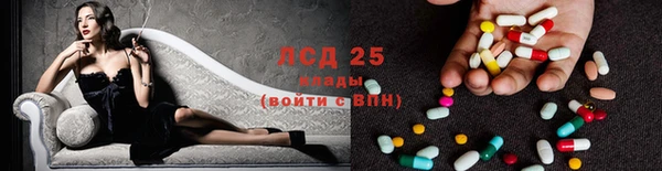 спайс Алзамай