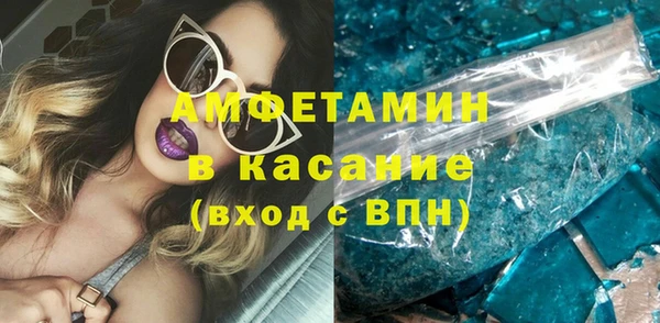 индика Каменногорск