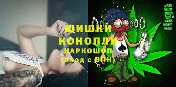 спайс Алексин
