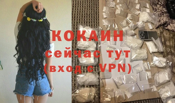 спайс Алзамай
