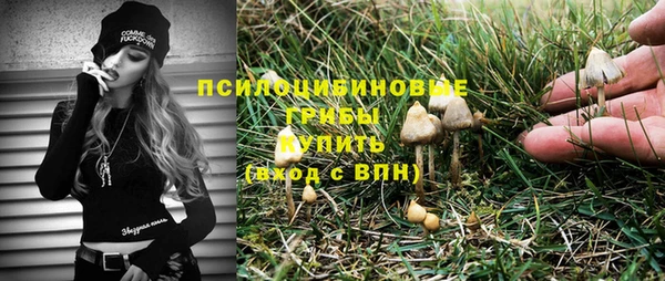спайс Алзамай
