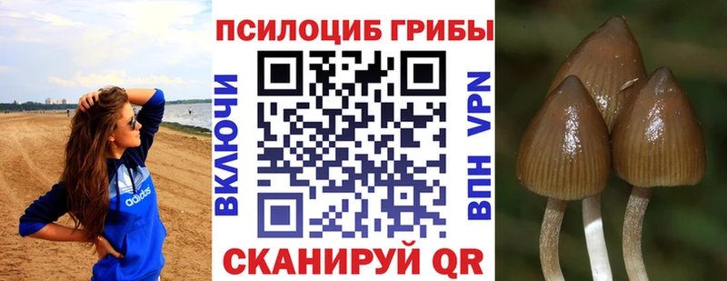 Галлюциногенные грибы GOLDEN TEACHER гидра рабочий сайт Шатура где продают