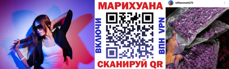 закладки  Шатура  Конопля ГИДРОПОН 